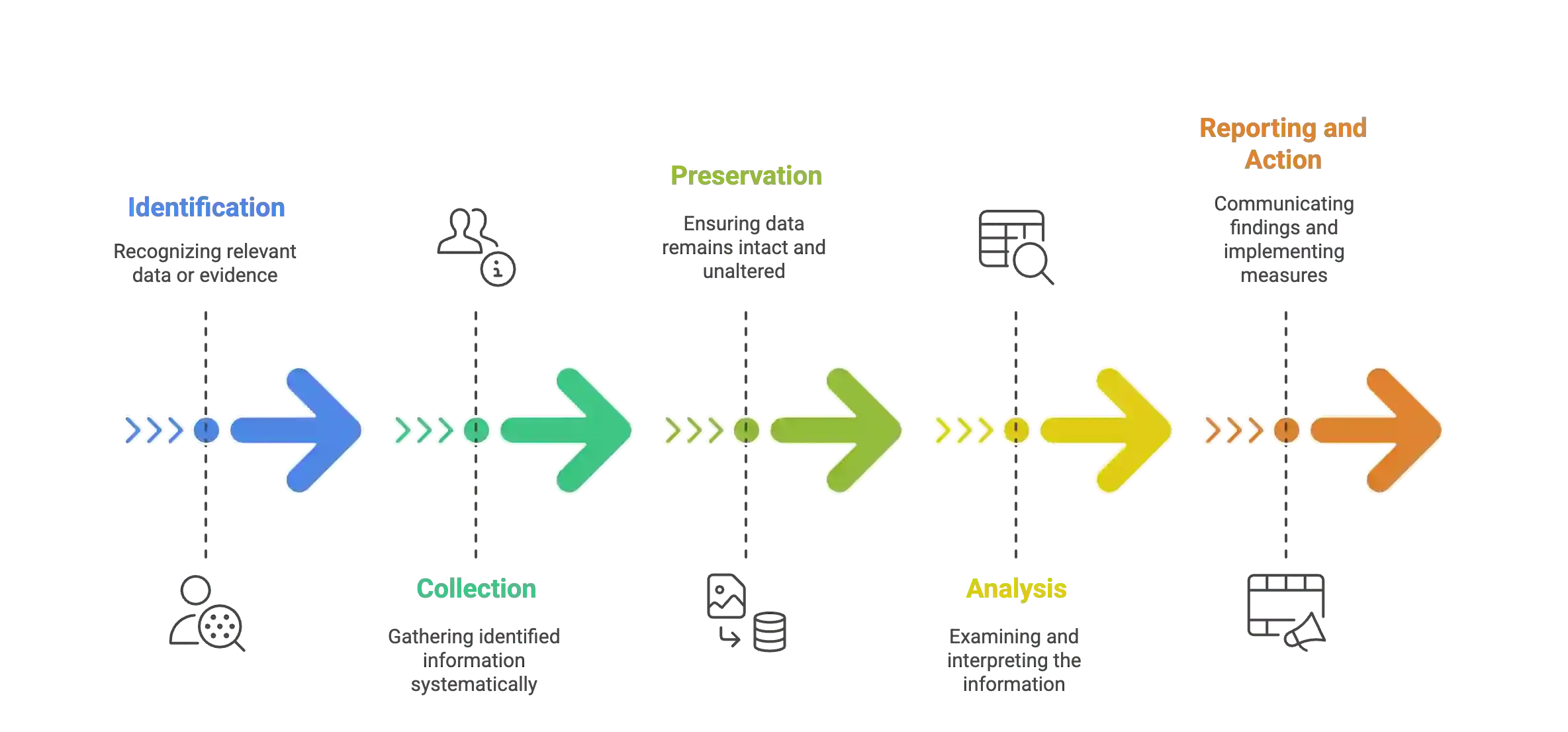 The Five Stages of a Digital Investigation